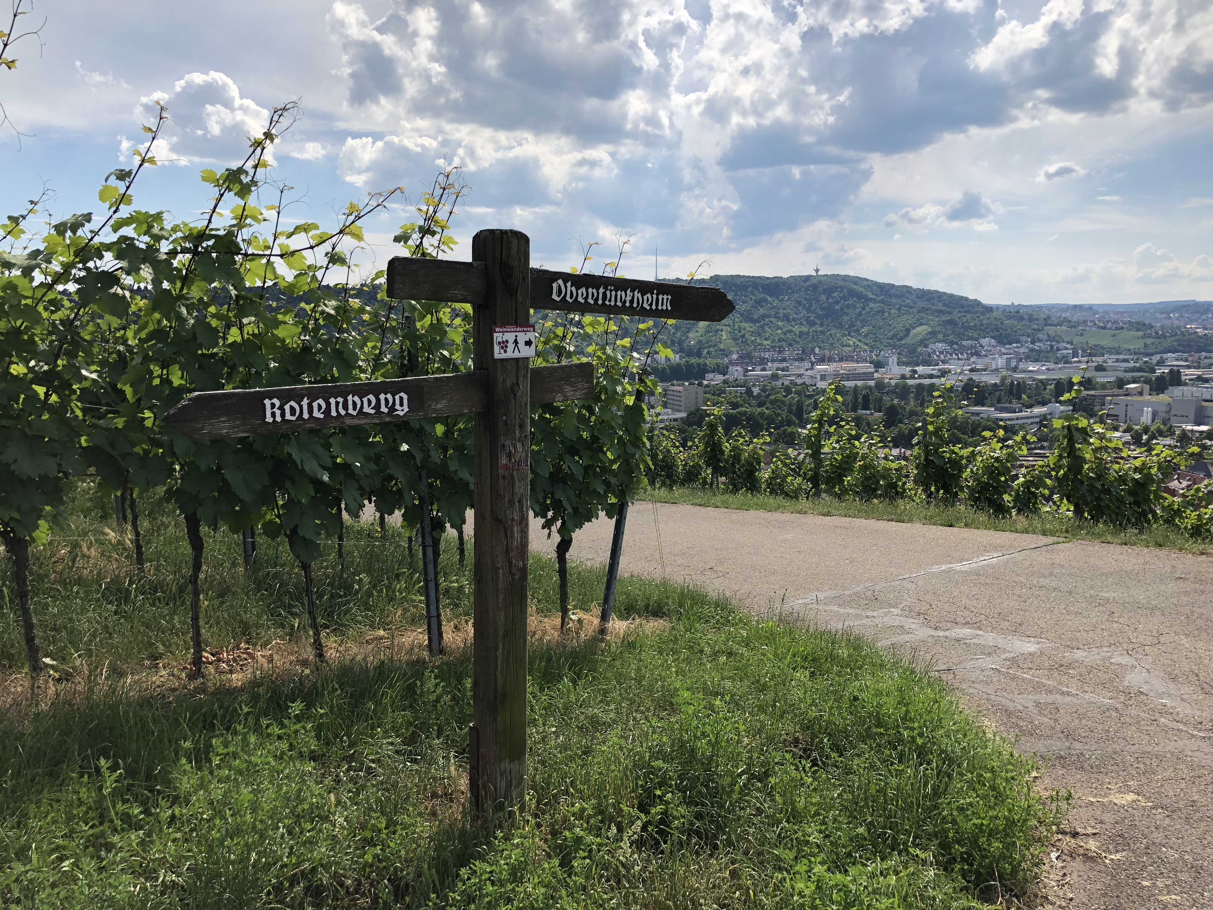 Weinwanderweg oberhalb des Neckar in Untertürkheim