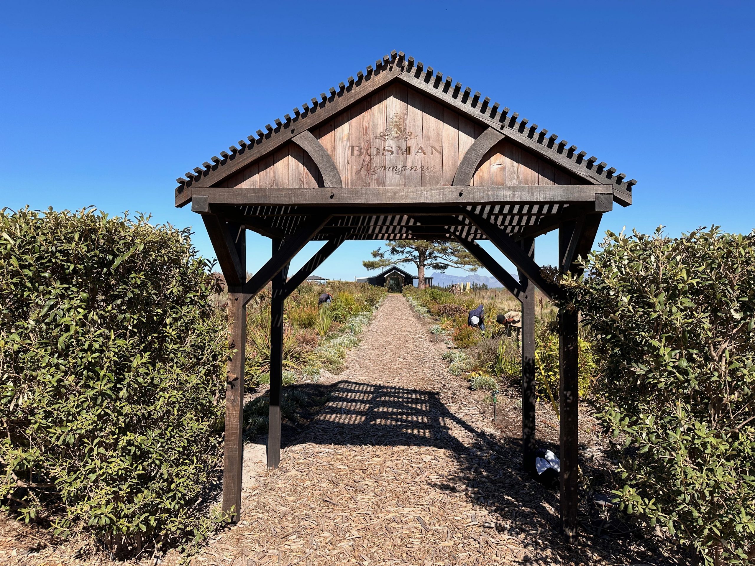 Bosman Hermanus Eingang